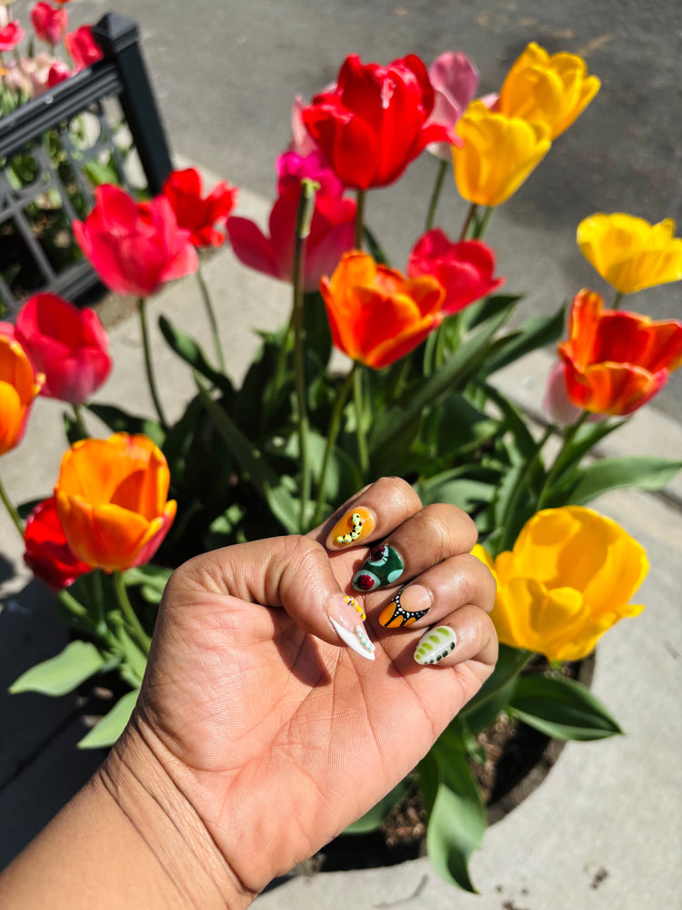 Spring Fling Collection