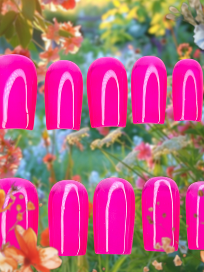 Stella Jellies