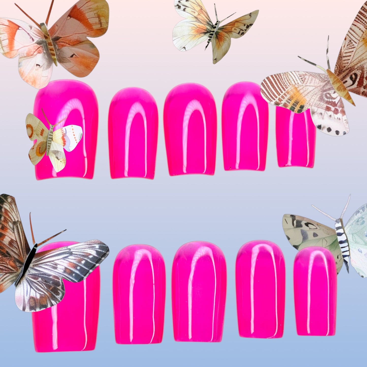 Stella Jellies